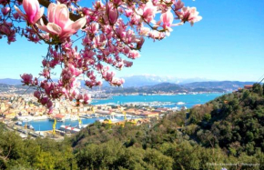 CASA TARTARUGA La Spezia